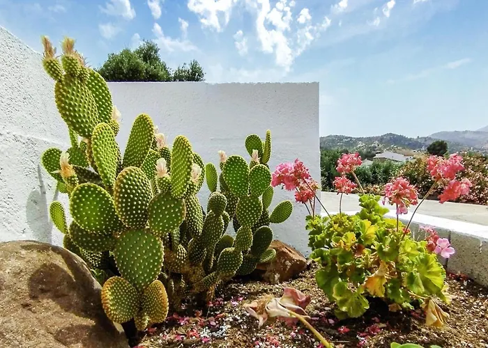 Awesome Home In Guaro